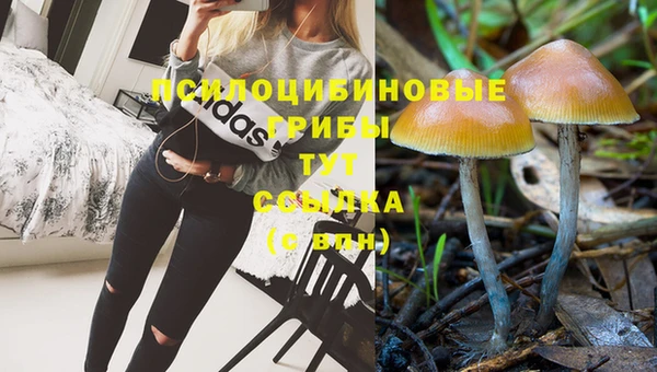 стафф Волосово