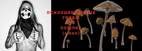 меф Володарск