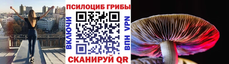 Псилоцибиновые грибы мухоморы  Волжский 
